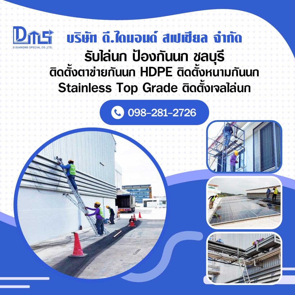 รับไล่นก ป้องกันนก ชลบุรี ดีไดมอนด์